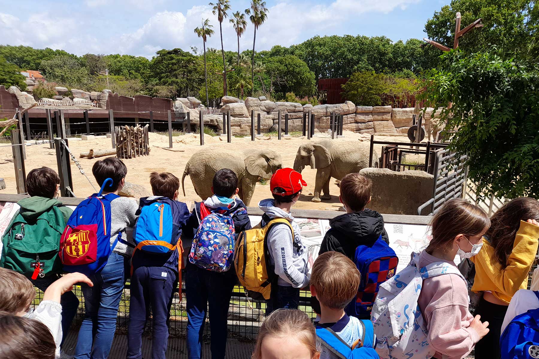 outdoor learning zoo elementary school